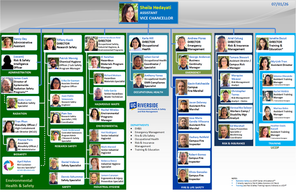 Organizational Chart